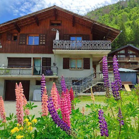 Appartement Meuble Classe 3 Etoiles De 72 M2, 2 Chambres Morzine Exterior photo