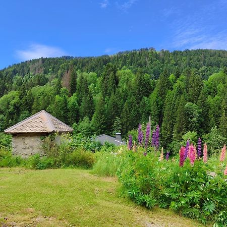 Appartement Meuble Classe 3 Etoiles De 72 M2, 2 Chambres Morzine Exterior photo