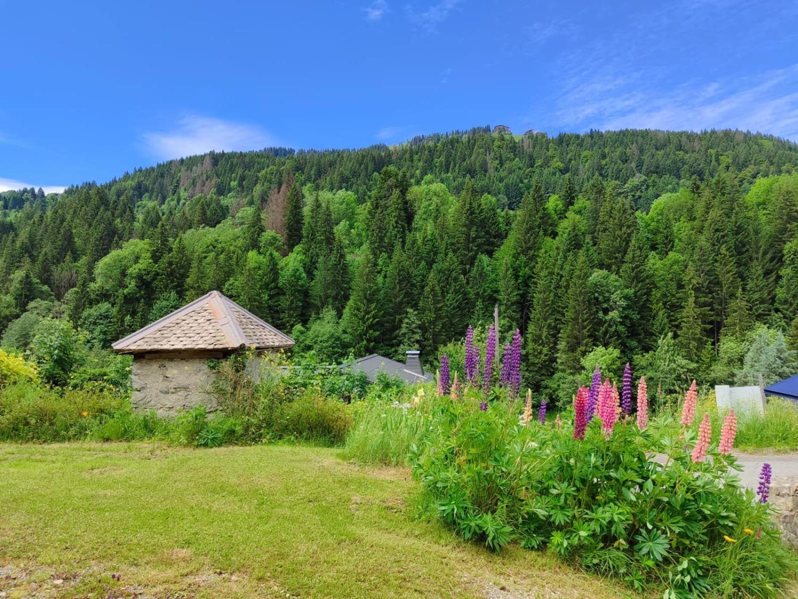 Appartement Meuble Classe 3 Etoiles De 72 M2, 2 Chambres Morzine Exterior photo